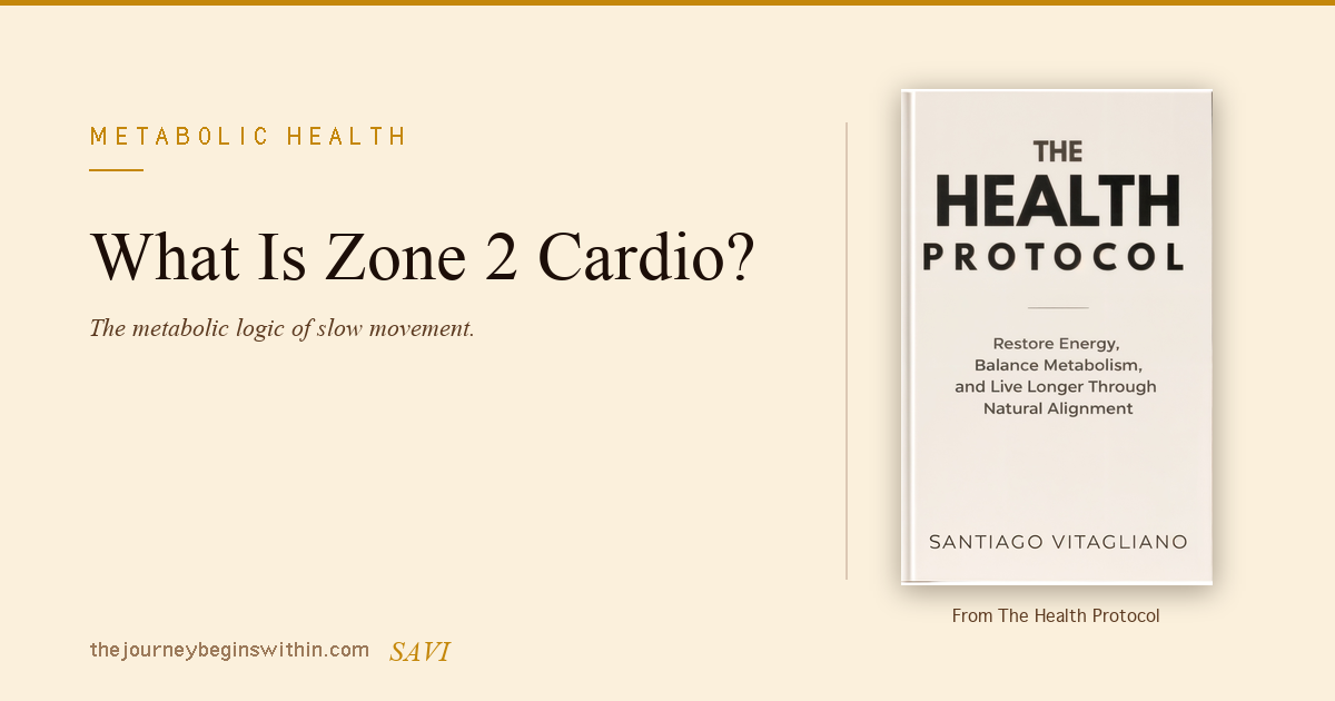What Is Zone 2 Cardio? The Metabolic Logic of Slow Movement | TJBW